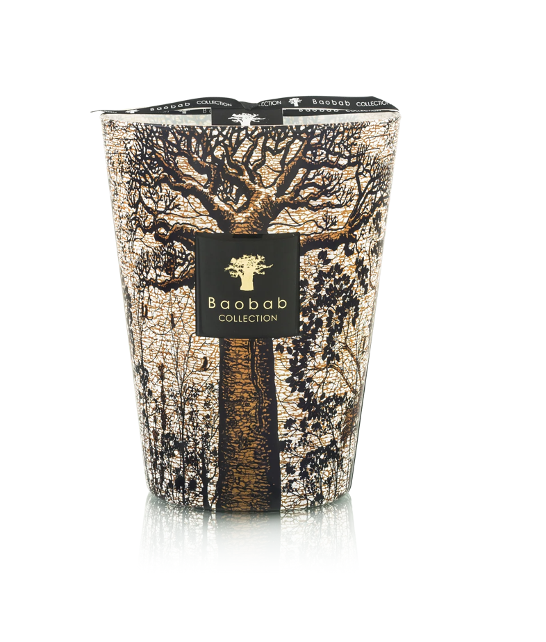 Image of Candle Trees Morondo